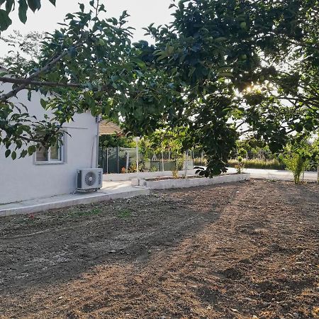 Alibaba Villa Near Airport And Beach Даламан Экстерьер фото
