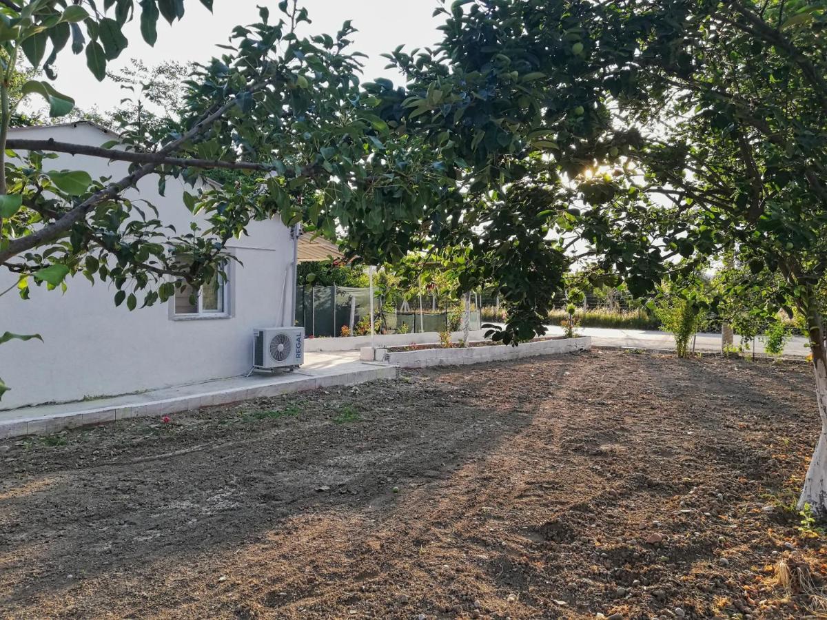 Alibaba Villa Near Airport And Beach Даламан Экстерьер фото